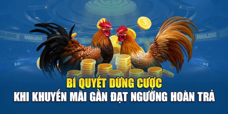 Bí quyết dừng cược khi khuyến mãi gần đạt ngưỡng hoàn trả