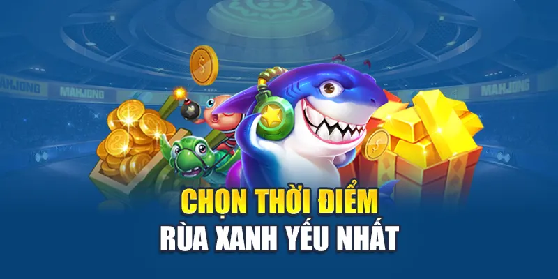 Chọn thời điểm rùa xanh yếu nhất