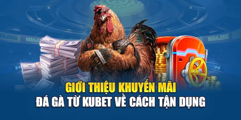 Giới thiệu khuyến mãi đá gà từ Ku bet về cách tận dụng
