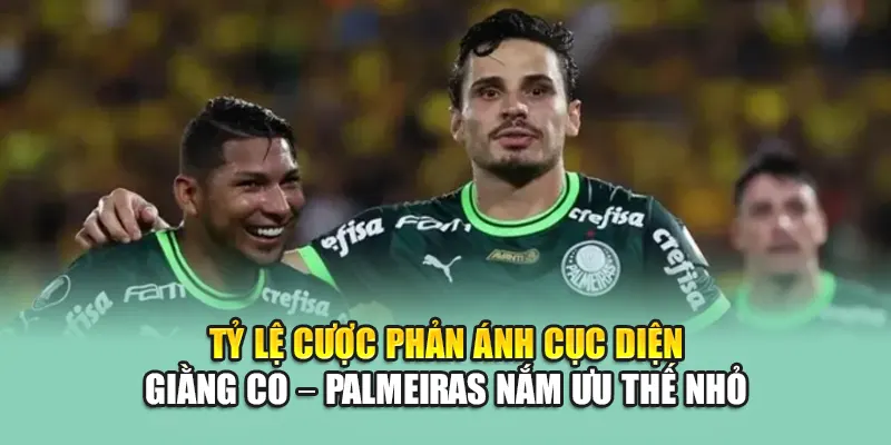 Tỷ lệ cược phản ánh cục diện giằng co – Palmeiras nắm ưu thế nhỏ